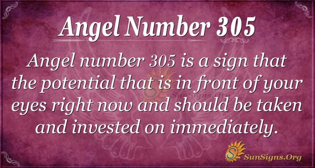 Angel Number 305