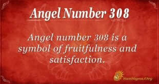 Angel Number 308
