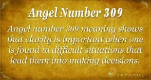 Angel Number 309