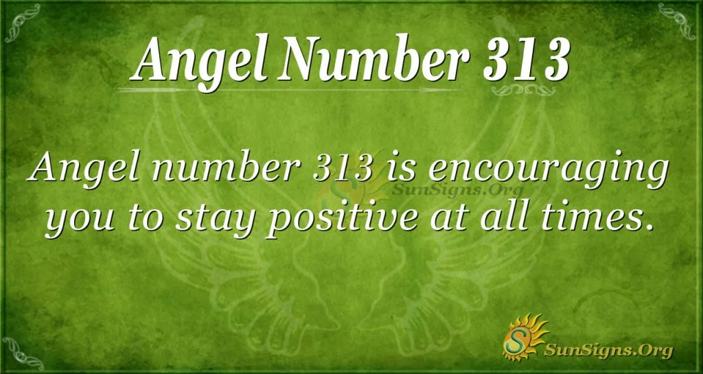 Número de ángel 313