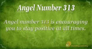Angel Number 313