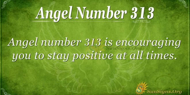 Angel Number 313