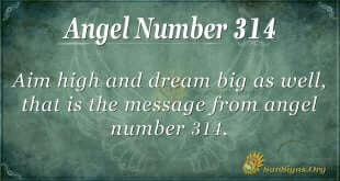 Angel Number 314
