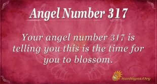 Angel Number 317