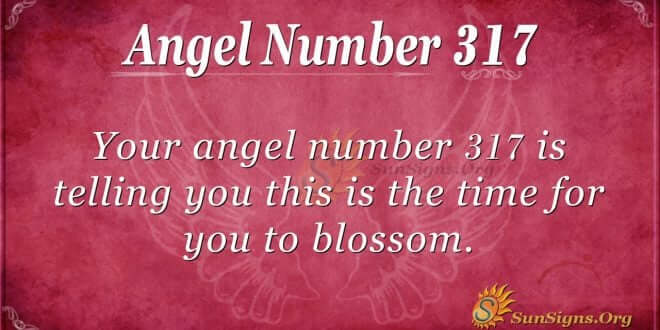 Angel Number 317