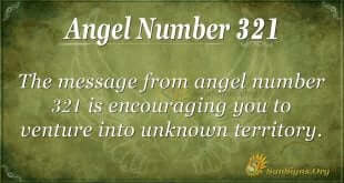 Angel Number 321