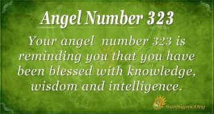 Angel Number 323