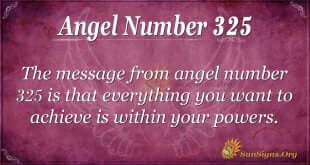 Angel Number 325