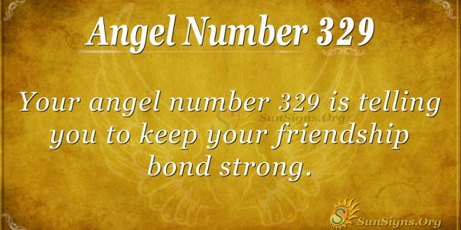 Angel Number 329