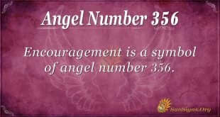 Angel Number 356