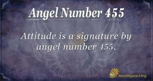 Angel Number 455