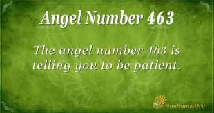 Angel Number 463