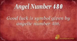 Angel Number 480