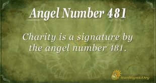 Angel Number 481