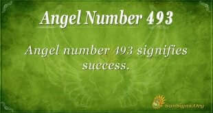 Angel Number 493