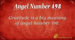 Angel Number 498
