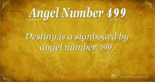 Angel Number 499
