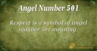 Angel Number 501