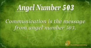Angel Number 503