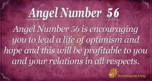 Angel Number 56