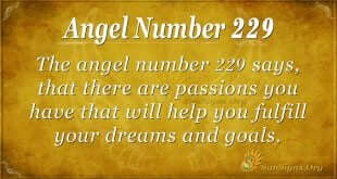 angel number 229