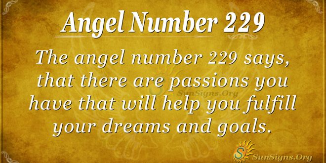 angel number 229
