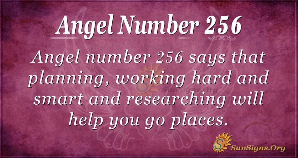 Angel Number 256
