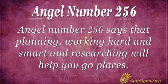 Angel Number 256