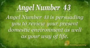 angel number 43