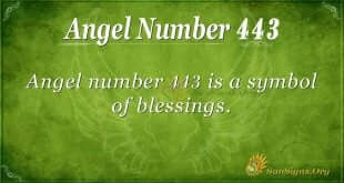 angel number 443