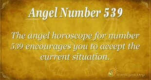 Angel Number 539