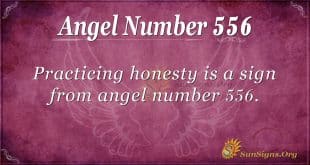 angel number 556