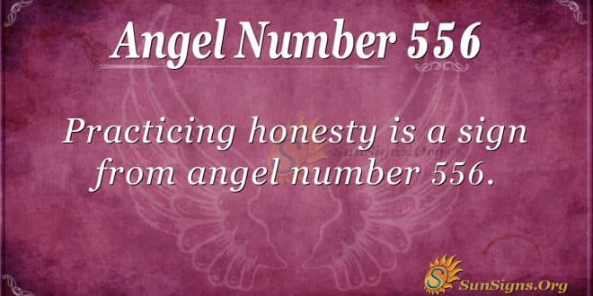 angel number 556