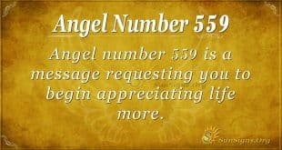 angel number 559