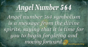 Angel Number 564