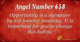 Angel Number 658
