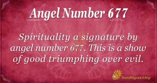 Angel Number 677