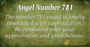 Angel Number 781