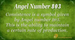 angel number 803