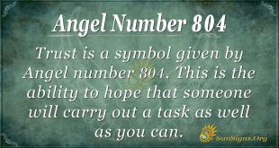 angel number 804