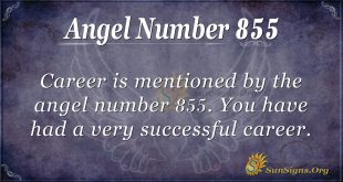 angel number 855