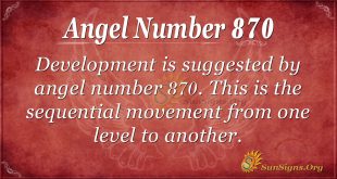 angel number 870