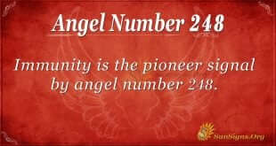 angel number 248