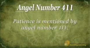 Angel Number 411