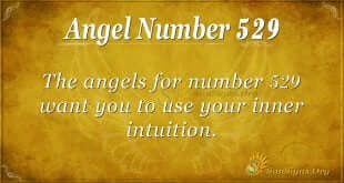 Angel Number 529