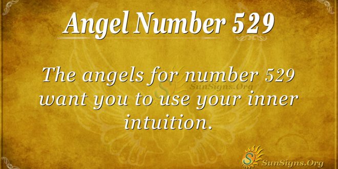 Angel Number 529