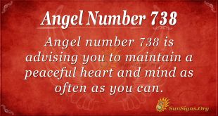 Angel Number 738