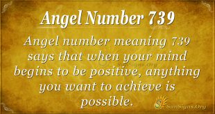 Angel Number 739