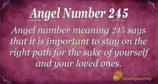 angel number 245