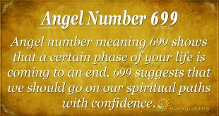 Angel Number 699